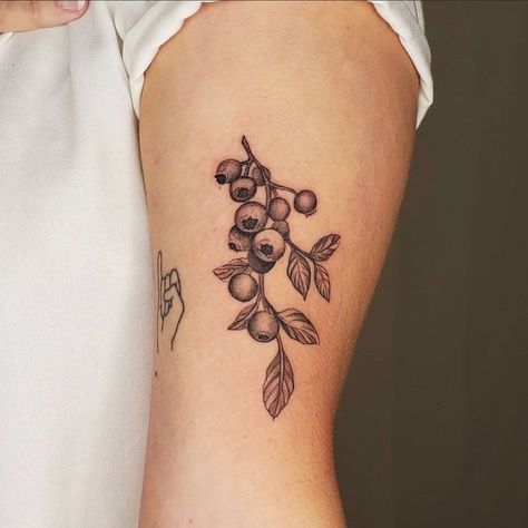 Black And Grey Blueberry Tattoo, Fine Line Berry Tattoo, Saskatoon Berry Tattoo, Blueberry Tattoo Black And White, Wild Blueberry Tattoo, Blueberry Plant Tattoo, Blueberry Vine Tattoo, Blueberry Bush Tattoo, Blueberry Tattoo Minimalist