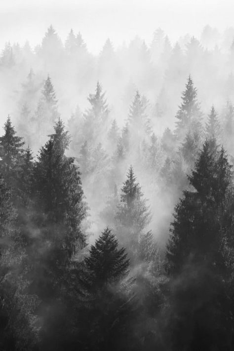 Random Inspiration 305 | UltraLinx Foggy Forest Drawing, Charchol Drawing, Sketch Trees, Black And White Mountains, Wallpaper Minimal, Minimal Wallpaper, Random Inspiration, Foggy Forest, Black And White Landscape