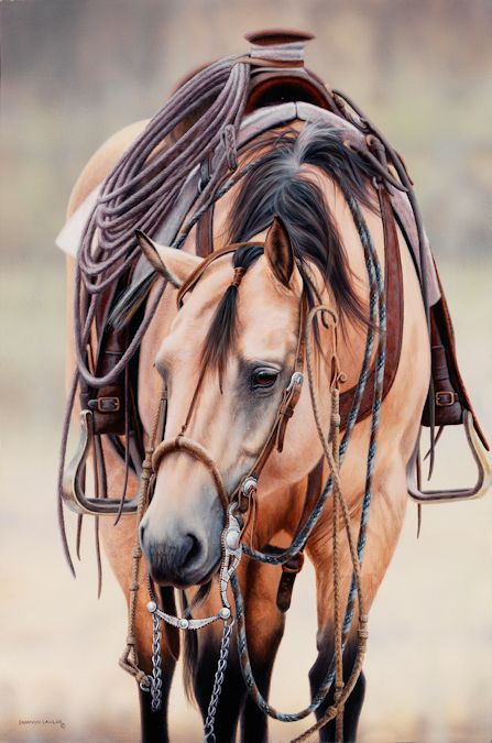 Western Horse Photography, Buckskin Horses, Bridle Horse, Buckskin Horse, Western Horses, Horse Artwork, Horse Gear, Horse Portrait, Horse Quotes