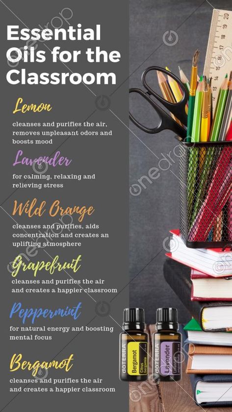 Essential Oils for the Classroom - Instagram Stories / Pinterest Graphic, also suitable for Facebook.Tag your Teacher friends/customers, they will thank you for it! #lavender #lemon #diffuser #stories #instagram #facebook #blends #diffuse #children #aromatic #social #school #Casey #Kent #Casey Kent #media #Teacher #classroom #wellnessadvocate #doterra #wellnessstockphotos #onedropdesigns #doterrawellnessadvocate #doterratips #doterragraphics #doterraphotos Essential Oil Combinations For Diffuser, Doterra Cleanse, Grapefruit Cleanse, Lemon Cleanse, Doterra Lavender, Essential Oil Combinations, Doterra Wellness Advocate, Pure Air, Wild Orange