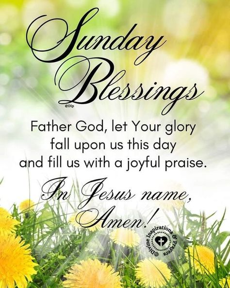 Divine Inspiration And Prayers, Sunday Morning Prayer, Blessed Sunday Quotes, Blessed Sunday Morning, Happy Sunday Images, Sunday Morning Quotes, Sunday Blessings, Happy Wednesday Quotes, Good Morning Happy Sunday