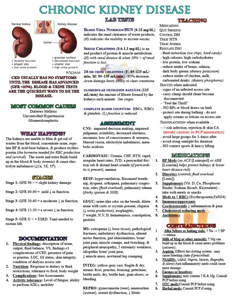 A Nursing Cheat Sheet to Assist in the Txmt of a Patient with CKD    https://www.facebook.com/Encouragement4Nurses?ref=tn_tnmn Nursing Cheat Sheet, Np School, Nursing Information, Nursing Cheat, Nursing Assessment, Nursing Mnemonics, Nursing Life, Pa School, Renal Diet