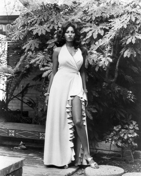 Foxy Brown Pam Grier, Pam Grier, Foxy Brown, Glamour Vintage, Elizabeth Montgomery, Black Actresses, Natalie Wood, Vintage Black Glamour, Sharon Tate