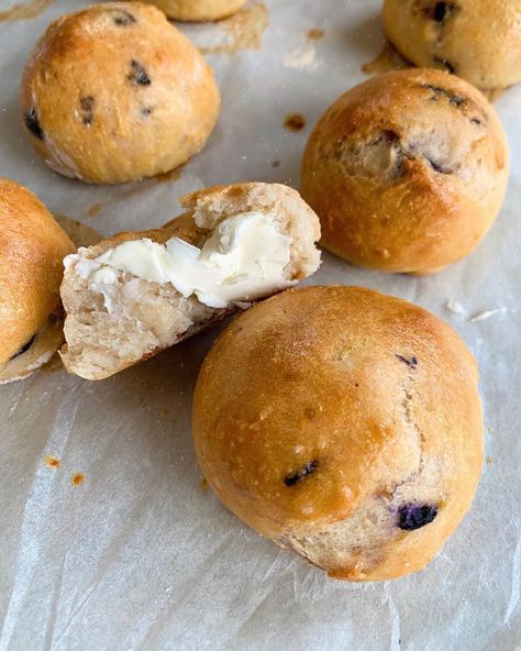 lauren greenwald on Instagram: “⁣blueberry bagel bites 🥯 ⠀ 1. mix 1 cup all purpose flour, 1/2 tsp kosher salt, and 2 tsp baking powder⠀ 2. add in 1 cup blueberry greek…” Blueberry Bagel Bites, Yogurt Almond Flour Bagel Bites, Blueberry Greek Yogurt Bagels, Blueberry Oatmeal Greek Yogurt Muffins, Protein Blueberry Muffins Greek Yogurt, Blueberry Bagel, Bagel Bites, Kosher Salt, Greek Yogurt