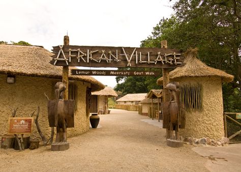 African Themed Party, Planet Zoo Inspiration, Zoo Inspiration, African Village, Zoo Design, Zoo Architecture, Jungle Resort, Tiny House Village, African House