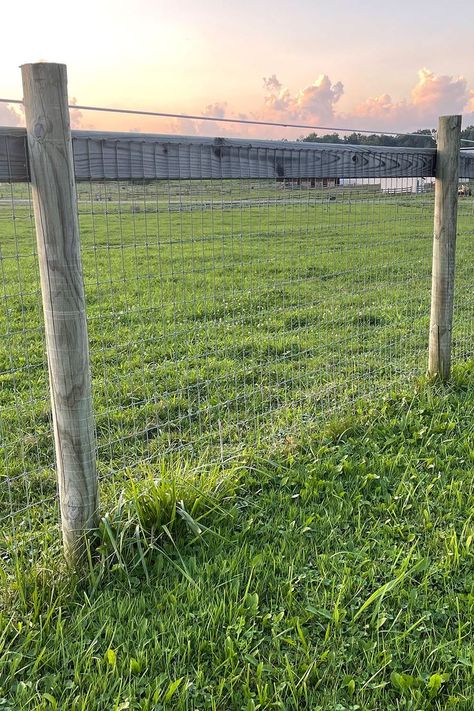 no climb woven wire fence No Climb Fence, Woven Wire Fence, Wire Fence, Mesh Design, Farm Animals, Climbing, Fence, Horses, Natural Landmarks