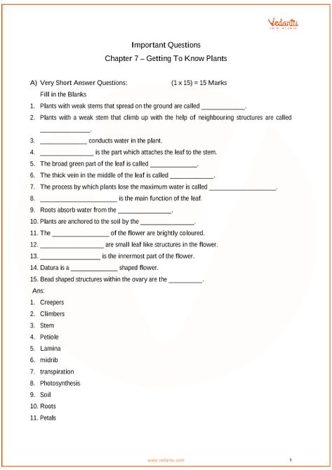 Important Questions Class 6 Science Chapter 7- Getting to Know Plants part-1 Getting To Know Plants Class 6, Class 6 Science Worksheet, Plants Worksheets, Science Revision, Science Quiz, Basic Science, Past Questions, Science Questions, 6 Class