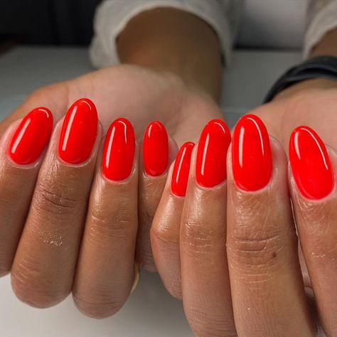 Fruit Punch Nails, Bright Summer Red Nails, Vibrant Red Nails, Summer Red Nails 2024, Bright Red Orange Nails, Red Neon Nails, Bright Red Summer Nails, Neon Red Nail Polish, Orangey Red Nails