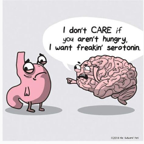 Heart And Brain Comic, Biology Jokes, Awkward Yeti, The Awkward Yeti, Biology Humor, Medical Jokes, Medical Memes, Nerdy Jokes, Psychology Humor