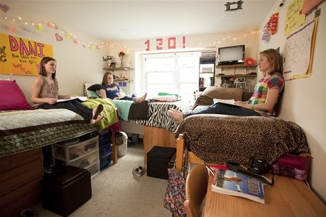 8 Tips for Living in a Triple Boarding School Dorms, Triple Dorm Room Ideas, Triple Dorm Room, Triple Dorm, College Decorations, Dorm Room Makeover, Miami University Ohio, Dorm Layout, Dorm Items