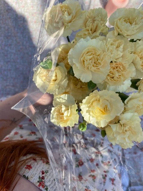 Yellow Girly Aesthetic, Carnations Aesthetic, White Carnations Aesthetic, Carnation Aesthetic, Carnation Astethic, Yellow Carnation Bouquet, Yellow Carnations Aesthetic, Peach Carnations, Yellow Carnations