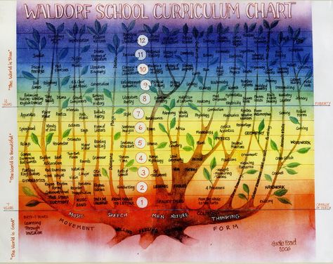 Waldorf Curriculum Chart Steiner Waldorf Education, Waldorf Preschool, Hall School, Chart School, Waldorf Curriculum, Michael Hall, Waldorf Teaching, Steiner Waldorf, Steiner School