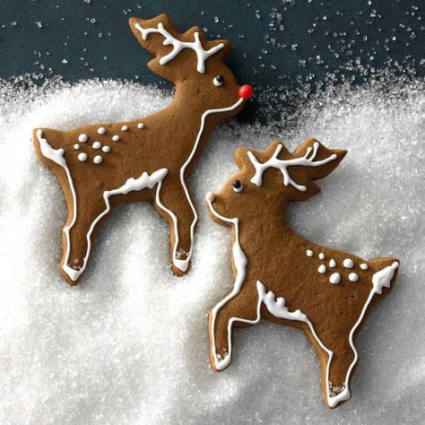 Easy Christmas Cookies Decorating, Brown Cookies, Vegan Gingerbread Cookies, Christmas Cutout Cookies, Gingerbread Cookies Decorated, Decorate Cookies, Vegan Gingerbread, Reindeer Cookies, Christmas Cutouts