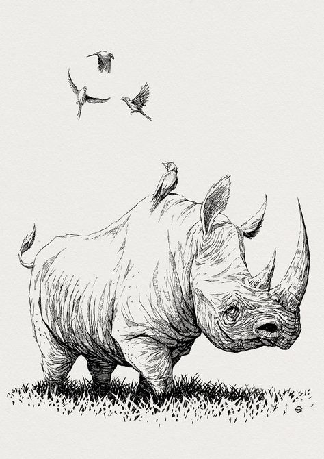 ArtStation - Tatende - Rhino, Tomek Larek Rhino Illustration, Rhino Tattoo, Rhino Art, Petit Tattoo, Animal Drawings Sketches, Desenho Tattoo, Concept Artist, Warsaw Poland, Pencil Art Drawings