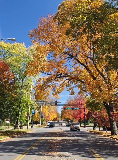 Main Street Murfreesboro in the Fall Nashville Autumn, Fall Small Town, Fall In A Small Town, Things To Do In Murfreesboro Tn, Small Town In Autumn, Small Town Autumn Aesthetic, Autumn Town, Tennessee Fall, Tis Autumn