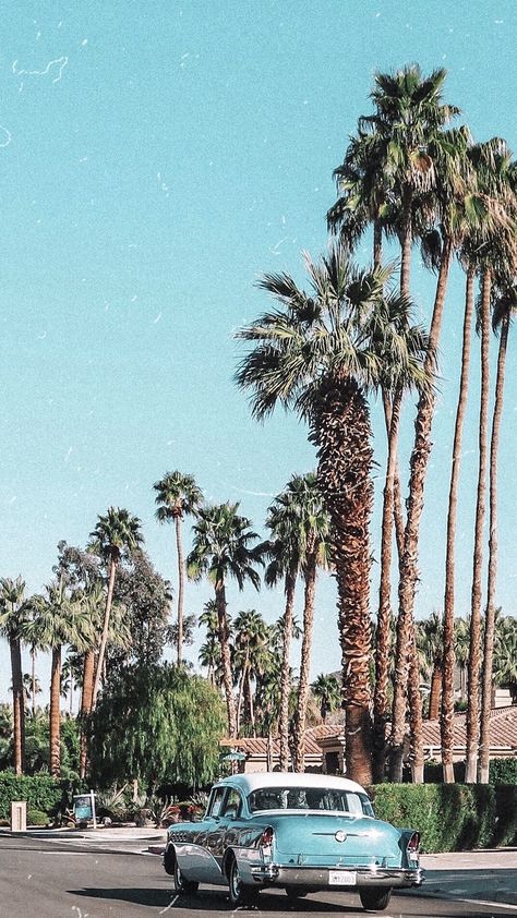 Vintage California Wallpaper, Palm Springs Background, Background Preset, Palmtrees Aesthetic, Palm Springs Wallpaper, California Wallpaper, Spring Background, California Vacation, Palm Springs California