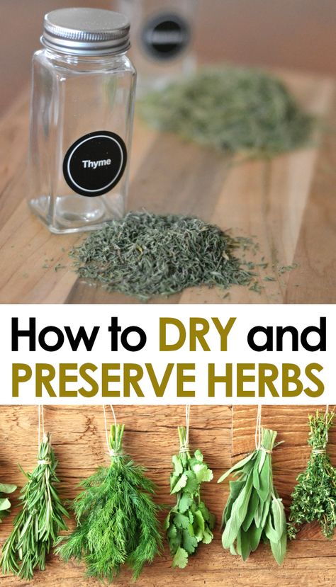 Herbs Drying, Preserve Herbs, Drying Fresh Herbs, Gardening Herbs, Gardening Indoors, Preserving Herbs, Medicinal Herbs Garden, Garden Hacks, Dried Herbs