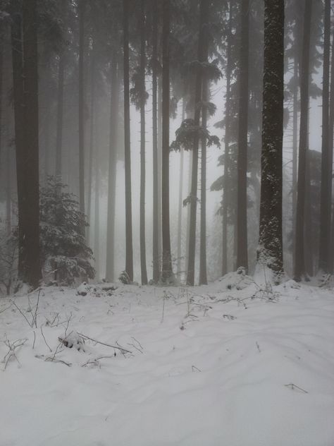 Dark Snowy Mountains, Snowy Woods Night, Forest Snow Aesthetic, Snowy Kingdom Aesthetic, Snow Woods Aesthetic, Snowy Woods Aesthetic, Snowy Mountain Forest, Snowy Mountain Aesthetic, Snowy Forest Aesthetic