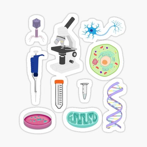 "Biology pack" Sticker for Sale by emm416 | Redbubble Cute Biology Stickers, Biology Stickers, Human Body Organs, Diy Photo Book, Science Stickers, Medical Laboratory Science, Picture Editing Apps, Stickers Cute, Cute Cupcakes