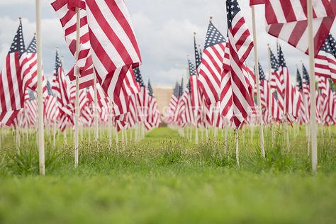 Patriotic/July 4th/Memorial Day Digital backgrounds Bridge Background, Summer Backdrop, Fall Backdrops, Best Photoshop Actions, Digital Backgrounds, Fall Pictures, Digital Backdrops, Beautiful Backgrounds, Veterans Day