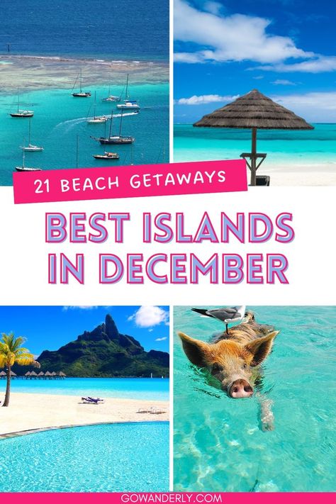 Find the best islands for a December vacation in our comprehensive guide. Perfect for holiday planners. Save this pin to keep these tips handy! Tropical Places To Visit, Places To Visit In December, Best Tropical Vacations, Cheap Vacation Destinations, Christmas Vacation Destinations, Best Islands To Visit, Caribbean Islands Vacation, Tropical Travel Destinations, Islands To Visit