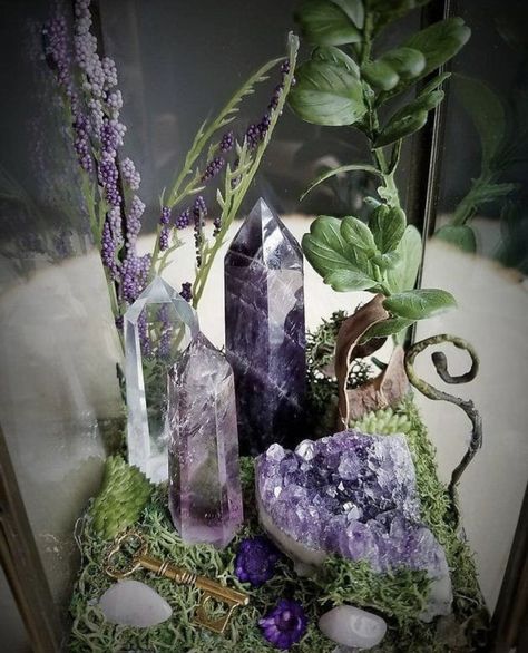 Crystal Terrarium Diy, Crystal Garden Terrarium, Wild Witch, Witch Crystals, Crystal Terrarium, Powerful Meditation, Crystal Vibes, Crystal Garden, Crystal Aesthetic