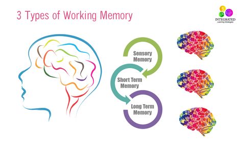 Types of Memory: Working Memory Tied to Your Child’s Intelligence Types Of Memory, Sensory Motor, Integrated Learning, Ogden Utah, Short Term Memory, Working Memory, Therapy Resources, Higher Learning, Learning Strategies