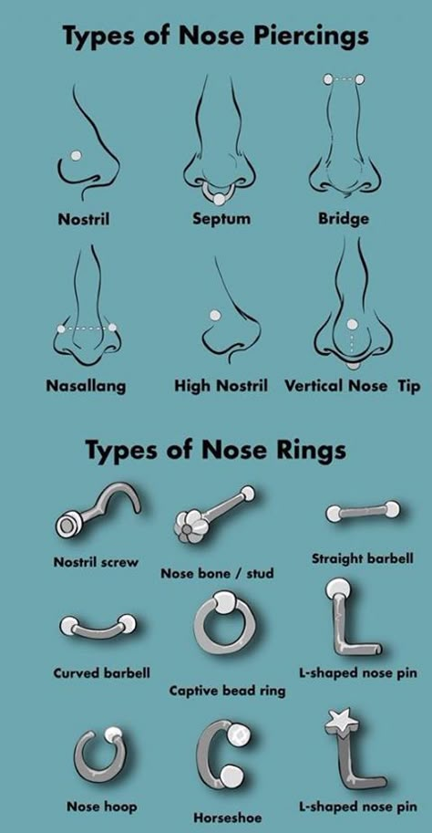 Height Exercise, Orr Piercing, Piercing Face, Piercing Bouche, Cute Nose Piercings, Ear Piercings Chart, Piercing Chart, Types Of Ear Piercings, Nostril Piercing