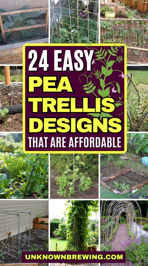 Peas Trellis Diy, Pea Trellis Diy, Diy Pea Trellis, Pea Trellis Ideas, Trellis For Peas, Snap Pea Trellis, Homemade Trellis, Garden Trellis Designs, Diy Trellis Ideas