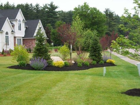 Island Landscaping, Evergreen Landscape, Small Backyards, Landscape Gardening, Privacy Landscaping, Driveway Landscaping, Landscaping Inspiration, Front Yard Design, The Residents