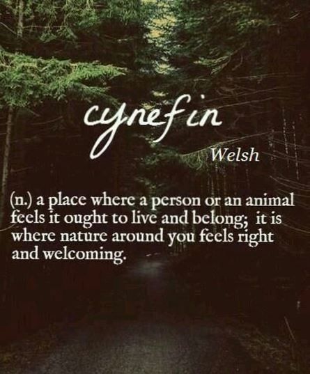 Have you found your cynefin? Your HOME? Where do you feel like you belong? . . . . #hometownhoodies #home #travel #love #wanderlust #lonelyplanet #traveltheworld #illinois #minnesota #missouri #wisconsin #texas #washington #oregon #california #maine #michigan A Person Who Loves Nature, Person Who Loves Nature, Garden Words, Citation Nature, Quotes Amazing, Friends Camping, Briar Patch, Brer Rabbit, Nature Quote