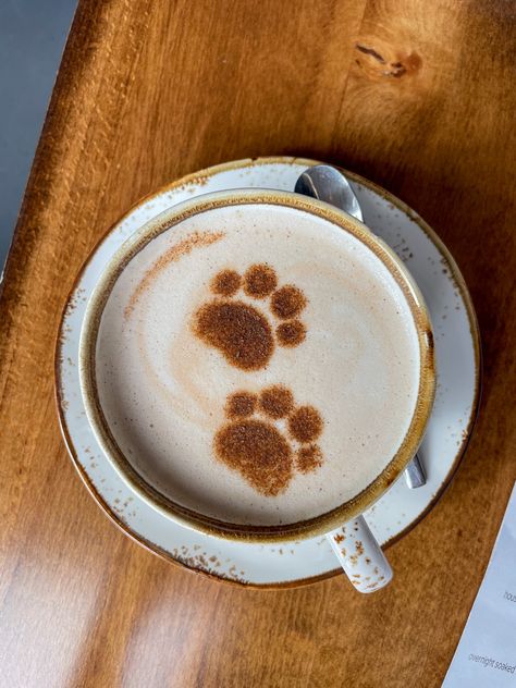 Cat Coffee Aesthetic, Bear Cafe Aesthetic, Cat Cafe Food, Cat Latte Art, Cat Cafe Aesthetic, Cat Coffee Shop, Cappuccino Aesthetic, 3d Latte Art, Coffee Bear