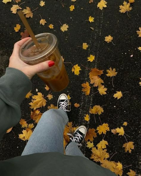 Dark Academia Converse, Coffee Dark Academia, Fall Aesthetic Pictures, Gilmore Girls Seasons, Fall Boards, Fall Mood Board, Autumn Magic, Pumpkin Spice Season, Cozy Season