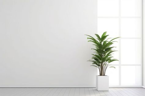 White Zoom Background, Plant Architecture, Background Zoom, Office House, Zoom Background, Office Background, Architecture Background, House Wall, Background White