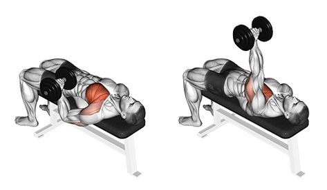 One Arm Flat Dumbbell Chest Press Triceps Extension, Best Chest Workout, Dumbell Workout, Muscle Abdominal, Tricep Extension, Workout For Flat Stomach, Weight Training Workouts, Muscle Training, Chest Workouts