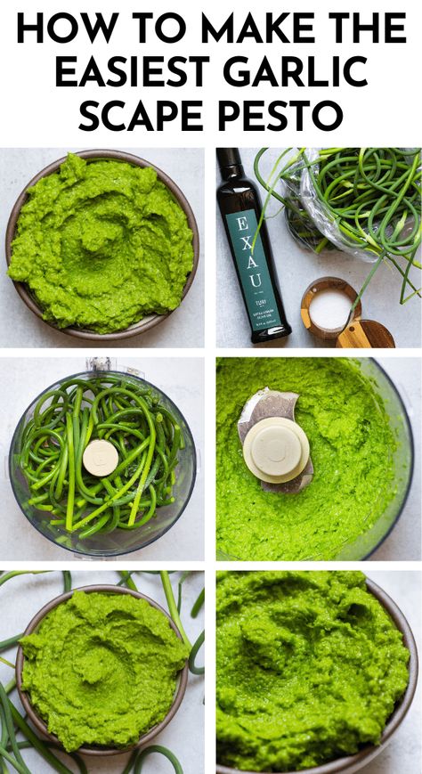 What Can You Do With Garlic Scapes, Garlic Scape Pesto Recipes, Garlic Scapes Recipes, Scape Recipes, Scape Pesto Recipe, Scape Pesto, Garlic Scape Pesto, Hardneck Garlic, Make Garlic Bread