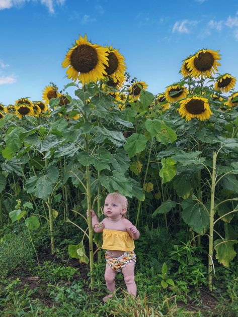 Baby Sunflower Photoshoot, Sunflower Photos, Sunflower Photography, Sunflower Photo, Sunflower Fields, Big Girl, Photos Ideas, Pic Ideas, Sweet Girls