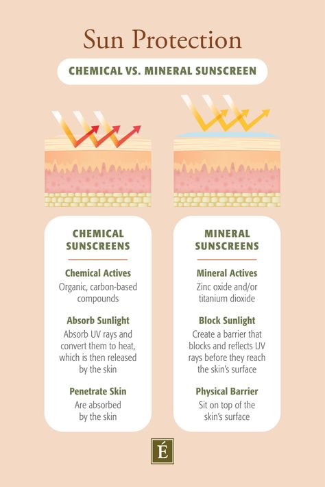 Mineral Vs. Chemical Sunscreen: The Best Choice According To Derms Coconut Shampoo And Conditioner, Spa Recipes, Coconut Shampoo, Mary Kay Skin Care, Product Knowledge, Daily Sun, Physical Sunscreen, Tinted Spf, Chemical Sunscreen