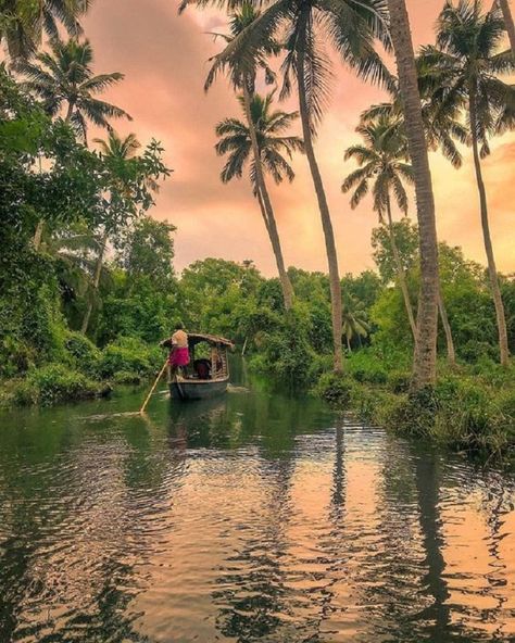 Poovar Island Kerala, Evel Tour, Kerala Village Photography, Trivandrum Photography, Kerala Nature, Kerala Backwaters, Kerala Travel, India Travel Places, Amazing India