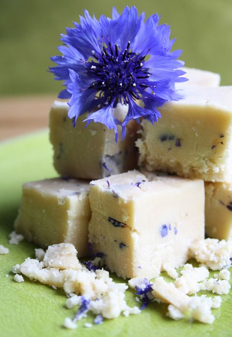 Visit the post for more. Cornflower Fudge Cornflower Recipes, Lavender Fudge, Floral Recipes, Flower Recipes, Edible Flowers Recipes, Old But Gold, Fudge Recipe, Flower Food, Wild Food