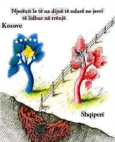 Albania and Kosovo forever united through deep roots. Independence Day Of Kosovo Drawing, Kosovo And Albania Flag Together, Pavarsia E Kosoves Drawing, 17 Shkurti Kosova Punime, Albania Flag Drawing, 17 February Kosovo Drawing, Kosovo Flag Drawing, Kosova Drawing, 17 Shkurti Kosova