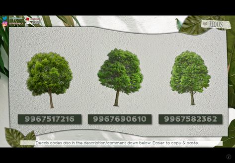 Transparent Tree Decal Bloxburg, Bloxburg Custom Plants Decal, 7ious Bloxburg Decals, Decal Tree Bloxburg, Bloxburg Plant Decals Codes Palm Tree, Bloxburg Codes For Plants, Bloxburg Realistic Tree Codes, Bloxburg Realistic Tree Decal Codes, Realistic Tree Decals Bloxburg