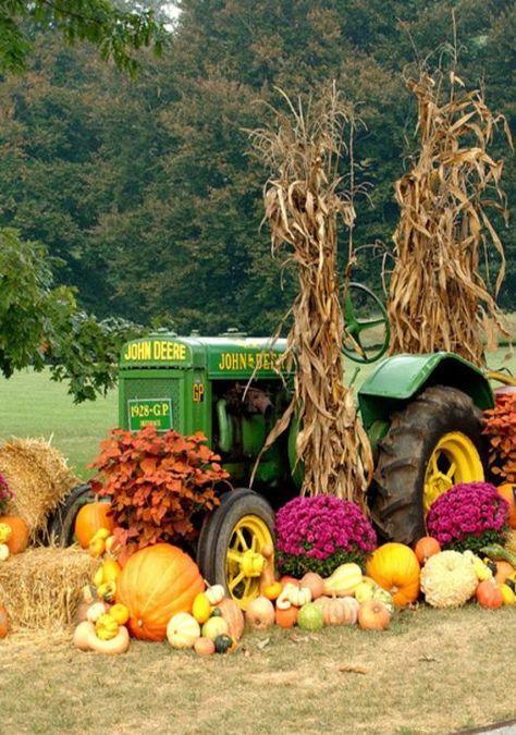 John Deere Girls | *~John Deere Girl~* Tractor Fall Photography, Rustic Fall Front Porch Decor, Fall Tractor Decor, Tractor Wedding Ideas, Tractor Decorations, Tractor Decor, Fall Yard Decor, Tractor Pictures, Tractor Idea