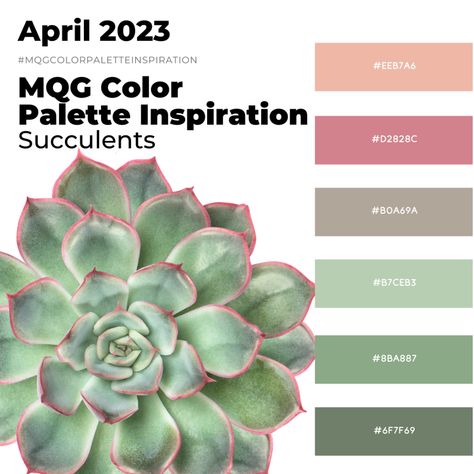 April 2023 Color Palette Inspiration - Modern Quilt Guild Color Palette Inspiration, Pastel Color Palette, 2023 Color, Palette Inspiration, Succulent Gardening, Pastel Colour Palette, Green Colour Palette, Quilt Guild, Modern Quilt