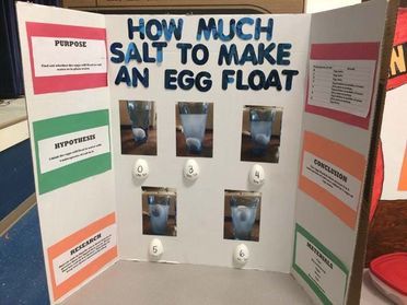 75+ Science Fair Project Ideas - 1st Grade Science Fair, Stem Fair Projects, 3rd Grade Science Projects, Winning Science Fair Projects, Middle School Science Fair Projects, Science Project Board, Kids Science Fair Projects, Easy Science Fair Projects, Elementary Science Fair Projects