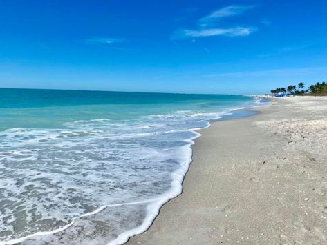 10 Reasons Captiva Island's South Seas Island Resort is the Perfect Florida Family Getaway Cruzan Rum, Captiva Island, Family Getaways, South Seas, Gulf Of Mexico, Island Resort, Florida Vacation, Florida Travel, Florida Home