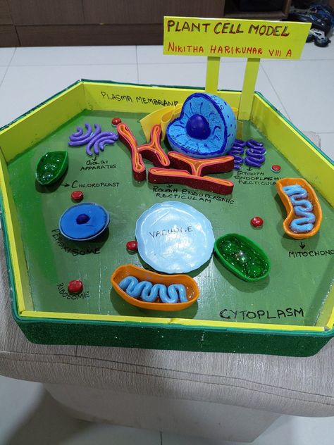 Cell Organelles Project Models, Plant Cells Model, How To Make A Plant Cell Model, Diy Cell Model, Diy Plant Cell Model, 3d Plant Cell Project Ideas, Plant Cell Model Project Ideas, Cell 3d Project, Eukaryotic Cell Model