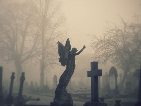 Fold Scarves, Cemetery Angels, Dark Forest Aesthetic, Goth Core, Corpse Party, Gothic Wallpaper, Black Angel, Angel Aesthetic, Black Angels