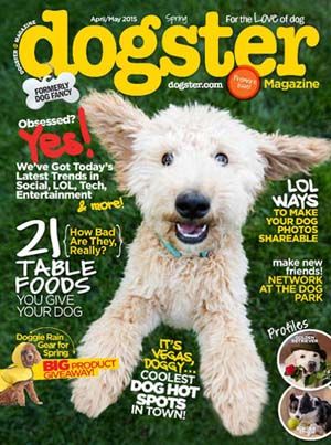 10 Best Dog Magazines for 2016 | Top Dog Tips Pet Magazine, Dog Backyard, Animal Magazines, Different Types Of Dogs, Dog Magazine, Dog Obsessed, Fancy Dog, Bad Photos, Magazine Subscription