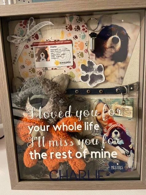 Memory Shadow Box, Pet Memorial Diy, Pet Memorial Ideas Dogs, Dog Shadow, Dog Shadow Box, Pet Memory, Pet Keepsake, Emotional Support Animal, Dog Memorial